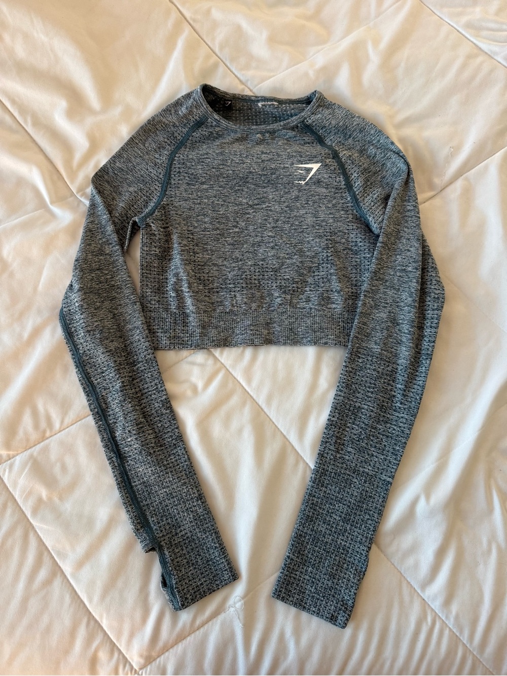 Gymshark Blueish Gray Seamless Long-Sleeve Cropped Top